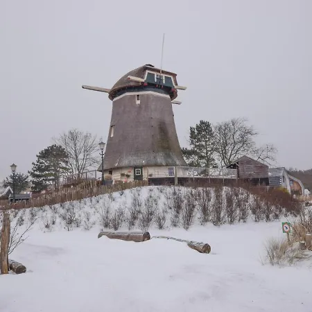 Duinland Holiday home *